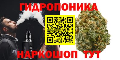 spice Бугуруслан