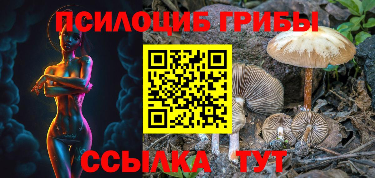 Балашов  Галлюциногенные грибы GOLDEN TEACHER  Вход с VPN 
