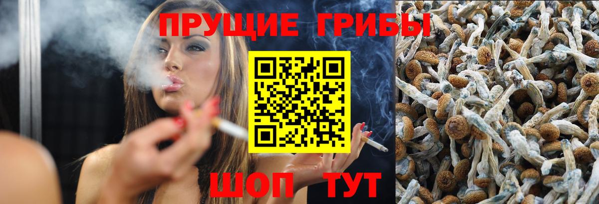 Галлюциногенные грибы мицелий Балашов